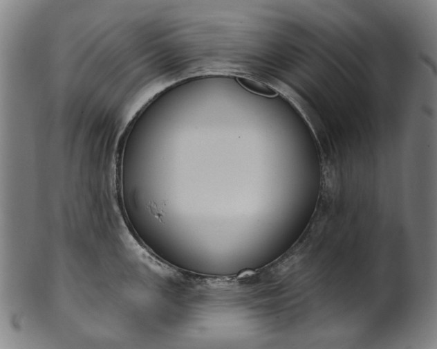 X0000101231147200807111114