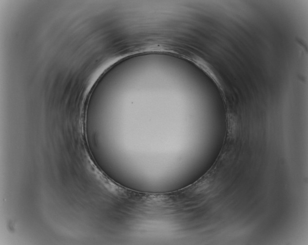 X0000101231148200807111114