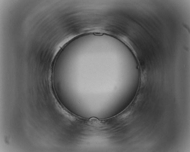 X0000101231149200807111114