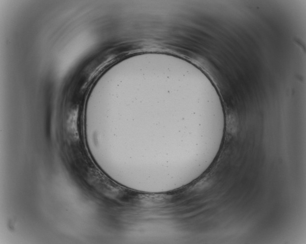 X0000101231150200807111114