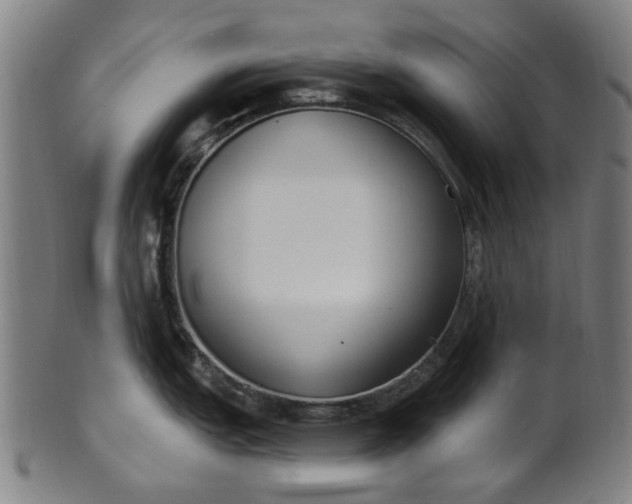 X0000101231151200807111114