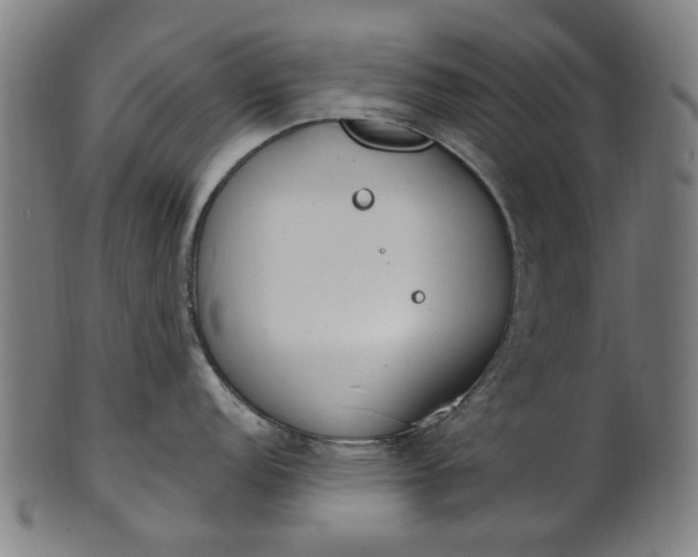 X0000101231152200807111114