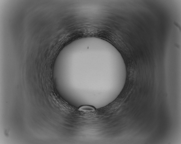 X0000101231153200807111113