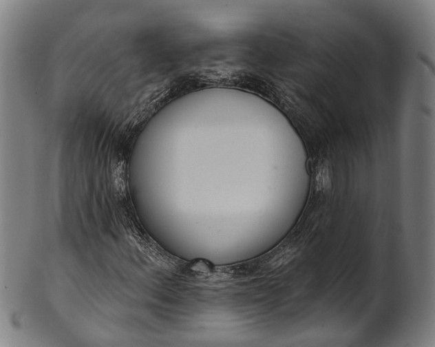 X0000101231156200807111113