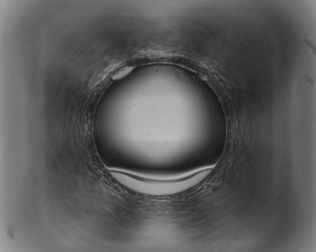 X0000101231157200807111113