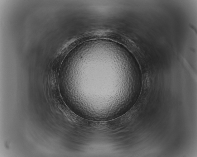 X0000101231158200807111113