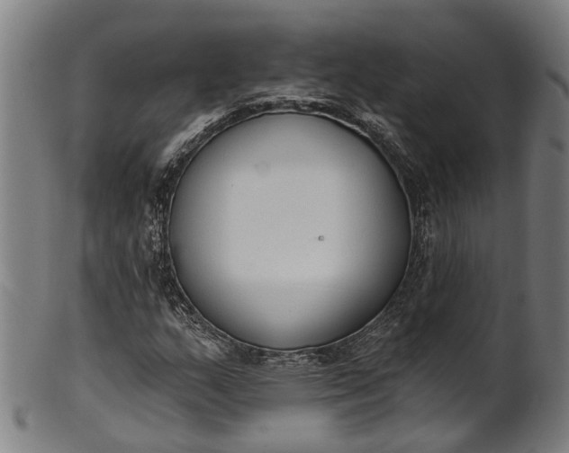 X0000101231159200807111113