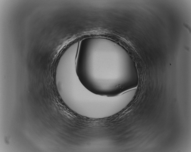 X0000101231160200807111113