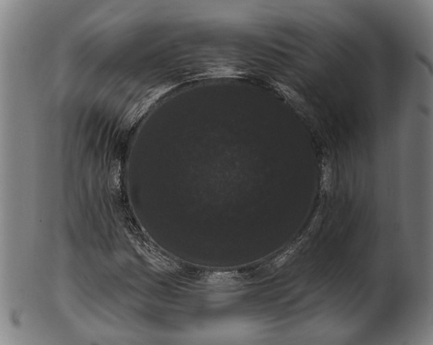 X0000101231161200807111113