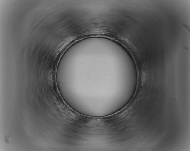 X0000101231162200807111113