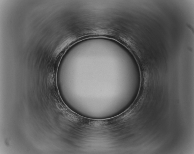 X0000101231163200807111113