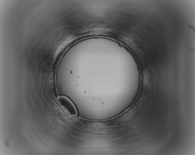 X0000101231164200807111113