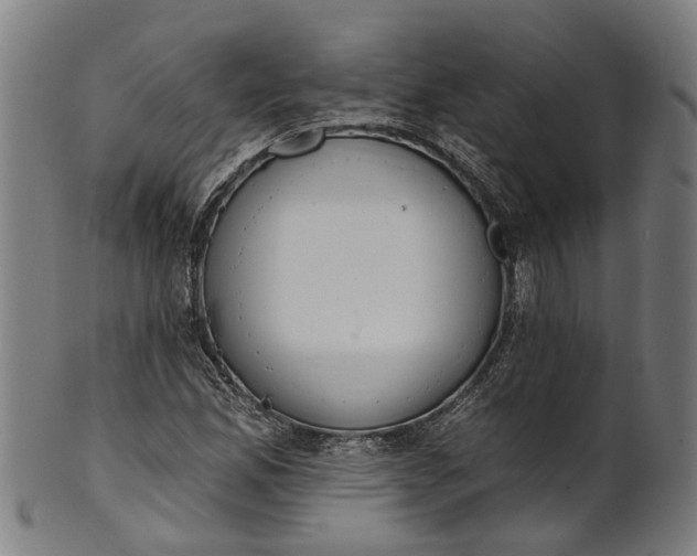 X0000101231165200807111113