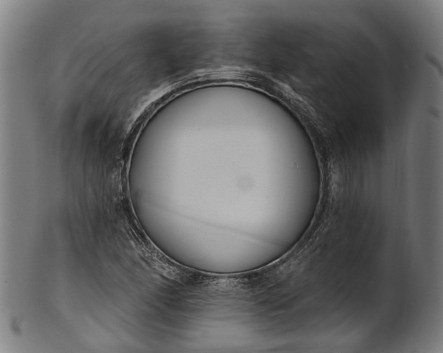 X0000101231166200807111113