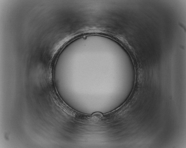 X0000101231167200807111113