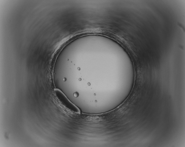 X0000101231168200807111113