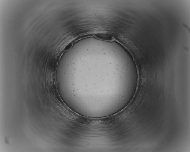 X0000101231169200807111113