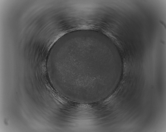 X0000101231170200807111113