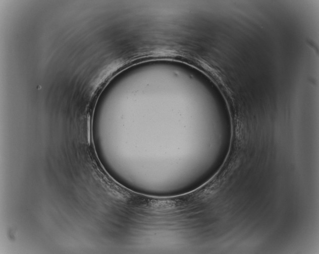 X0000101231171200807111113