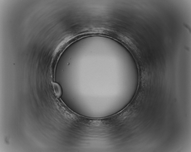 X0000101231172200807111113