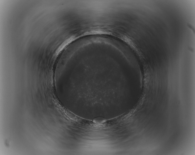 X0000101231173200807111113