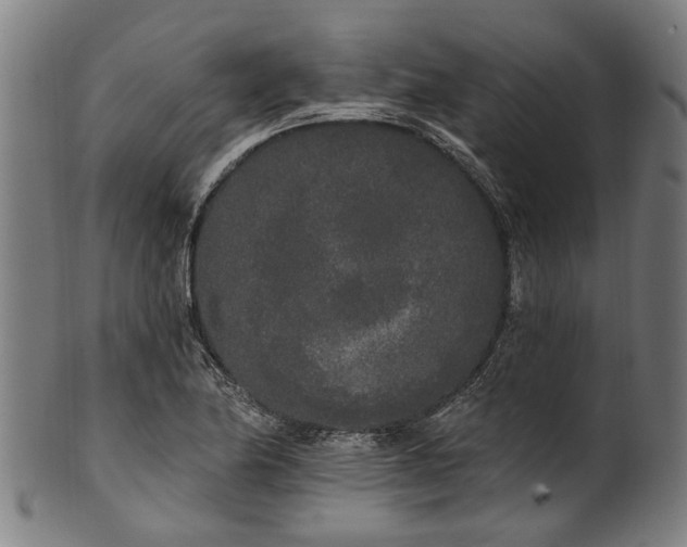 X0000101231174200807111113