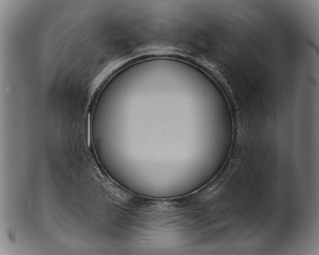 X0000101231175200807111113