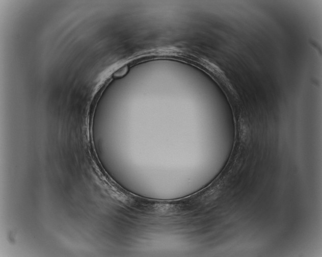 X0000101231176200807111113