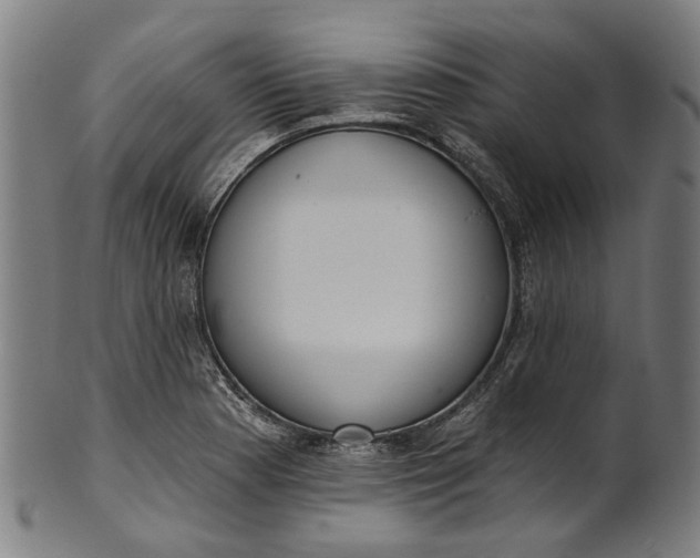 X0000101231177200807111113