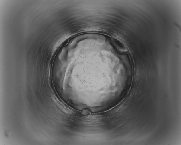 X0000101231179200807111113