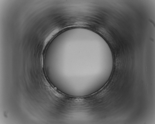 X0000101231180200807111113