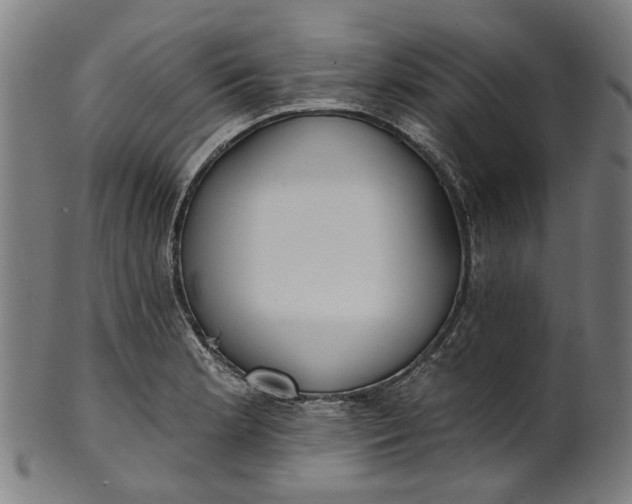 X0000101231181200807111113