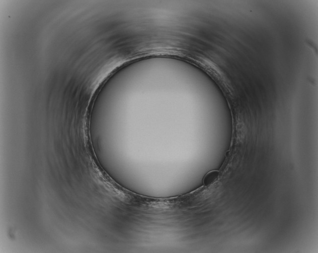 X0000101231182200807111113