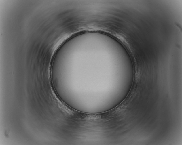 X0000101231183200807111113