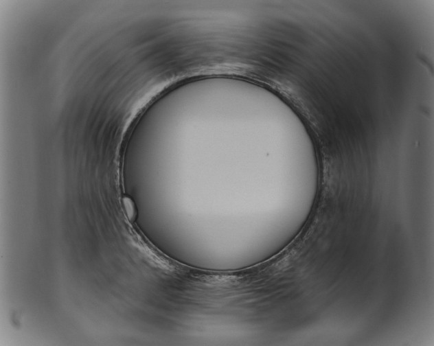 X0000101231184200807111113