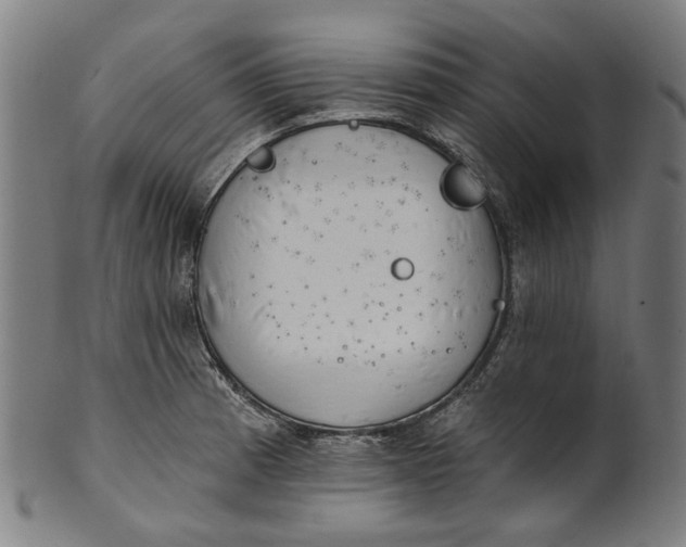 X0000101231185200807111113