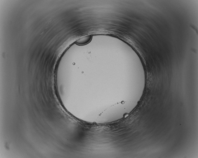 X0000101231187200807111113