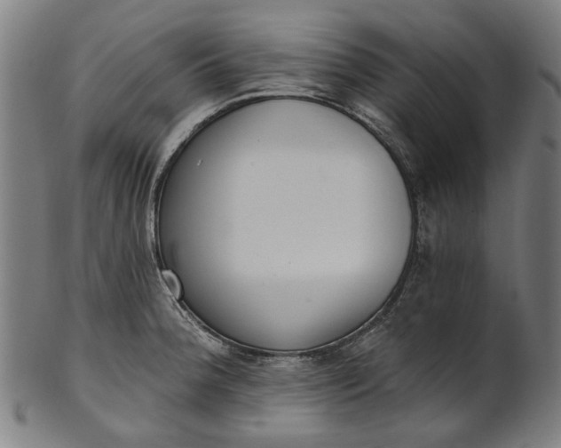 X0000101231188200807111113