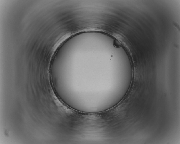 X0000101231189200807111113