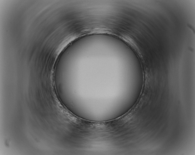 X0000101231190200807111113