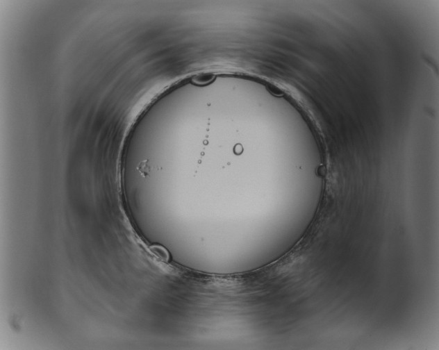 X0000101231191200807111113