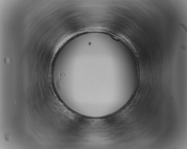 X0000101231192200807111113