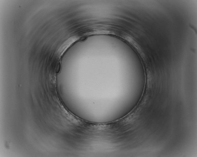 X0000101231193200807111113