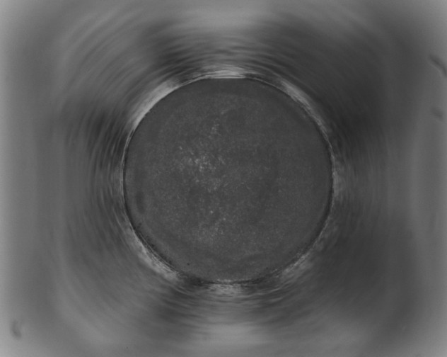 X0000101231194200807111113