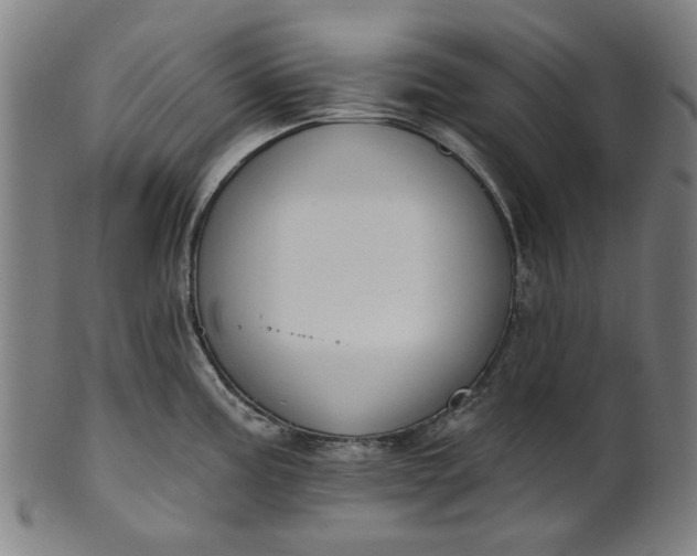 X0000101231195200807111113