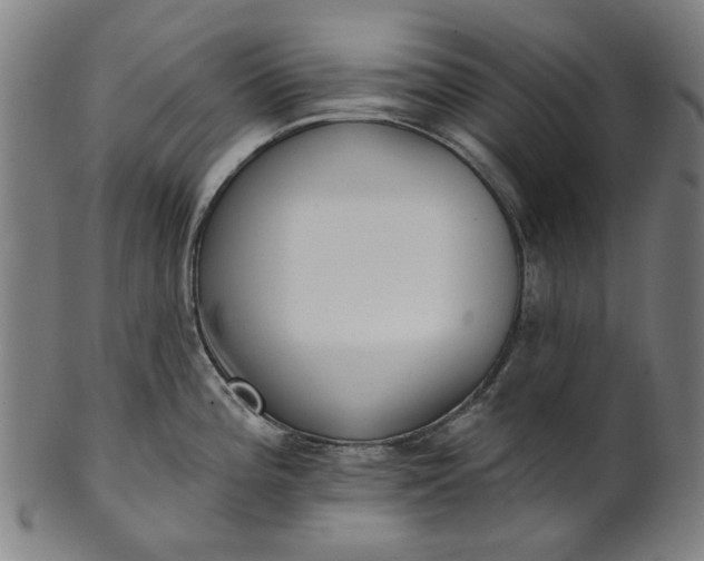 X0000101231196200807111113