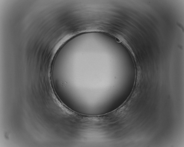 X0000101231197200807111113