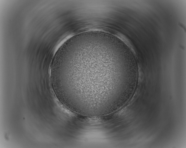 X0000101231198200807111113