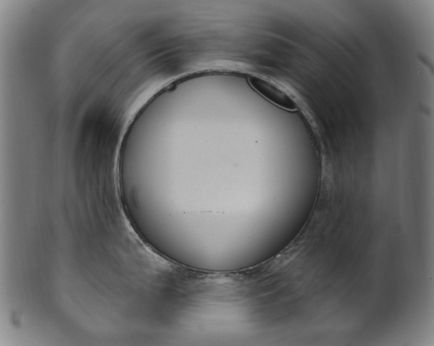 X0000101231199200807111113