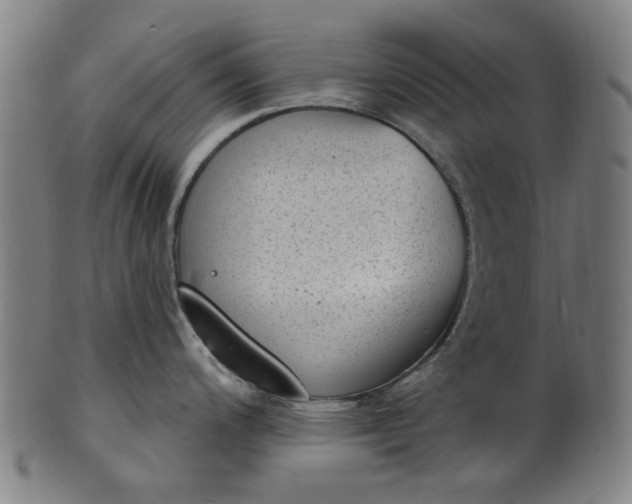 X0000101231200200807111113